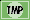 Supporting Member of TMP