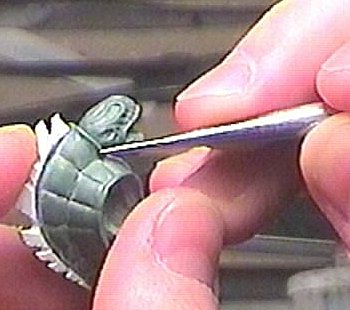 trimming the carapace