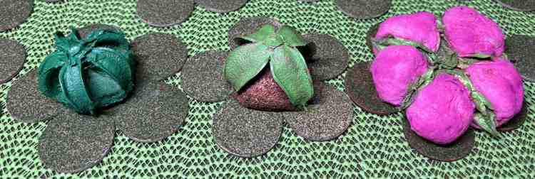 Alien plants