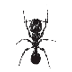 Personal logo