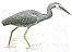 Personal icon