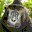 Personal icon