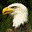 Personal icon