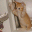 Personal icon