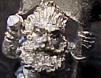 close-up of standardbearer's face