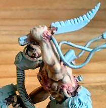 Brushed over with infected flesh colour