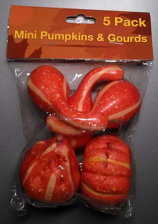 Mini Pumpkins and Gourds