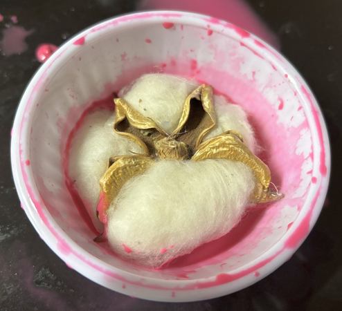 Pod in ramekin wash