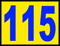 115th logo