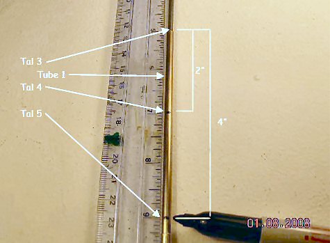 Marking TALs 4 and 5